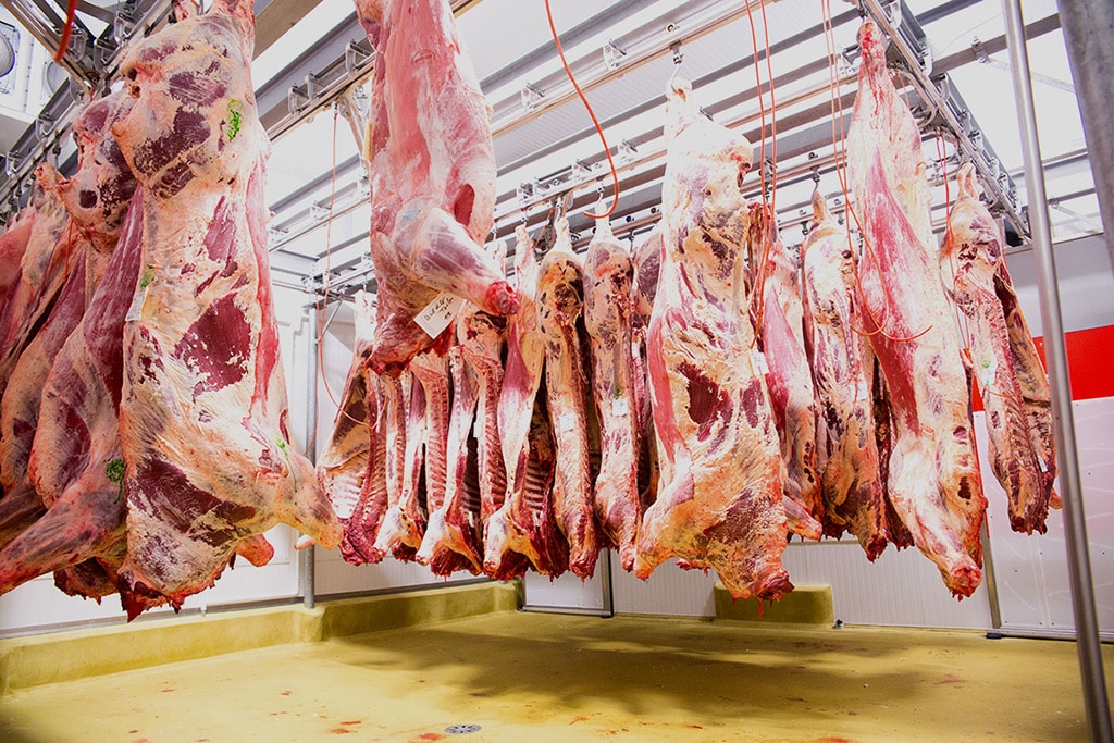 agneau-carcasse-produits-lozere-viande