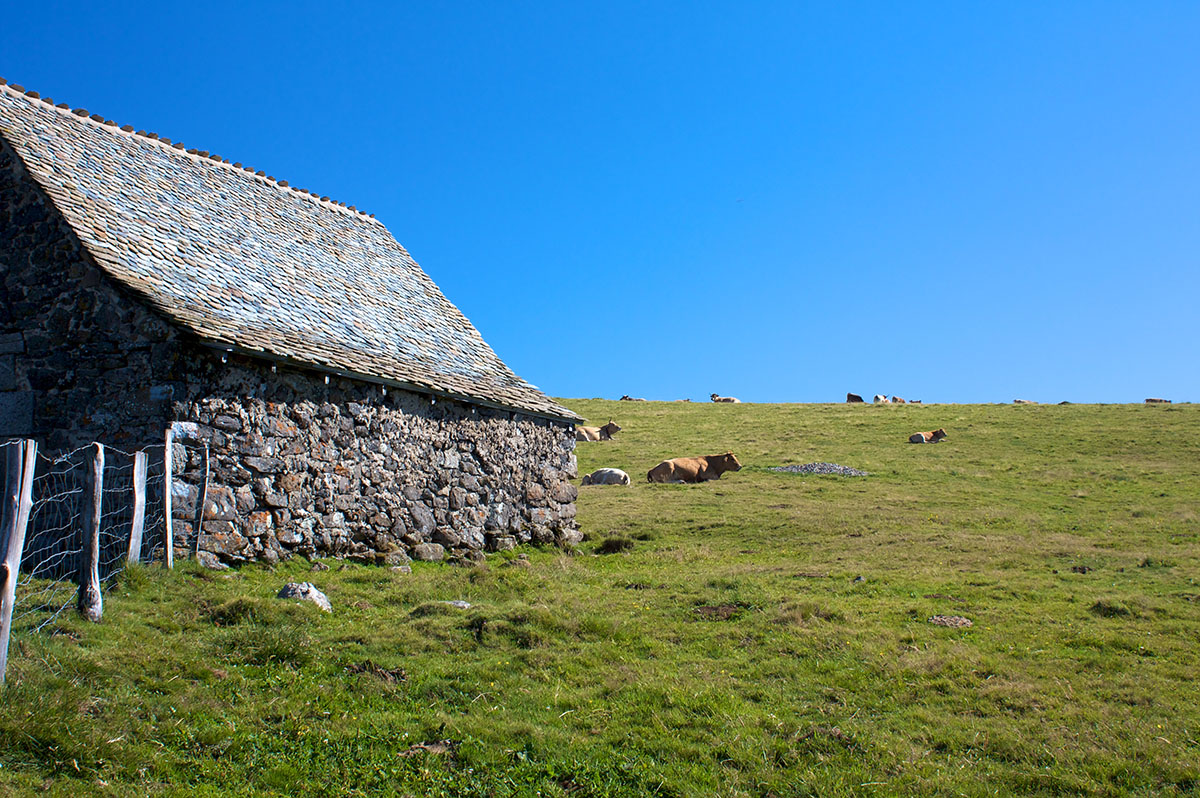 buron-aubrac-local-vache-lozere